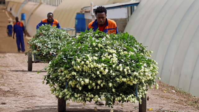 Уничтожение цветов на продажу