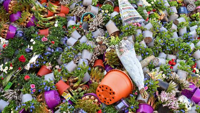 Уничтожение цветов на продажу