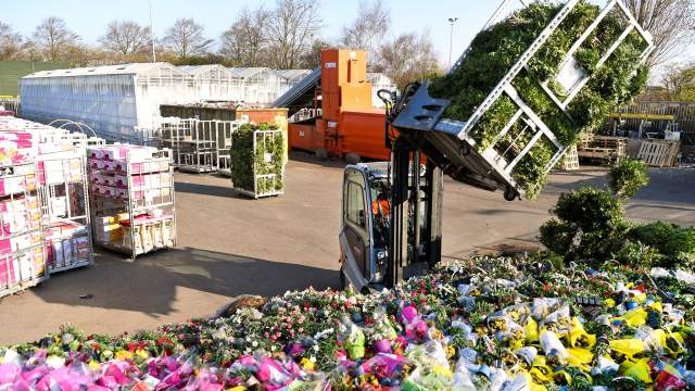 Уничтожение цветов на продажу