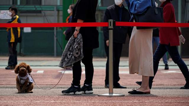 Выборы в Корее