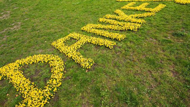 Благодарность врачам за работу во время коронавируса