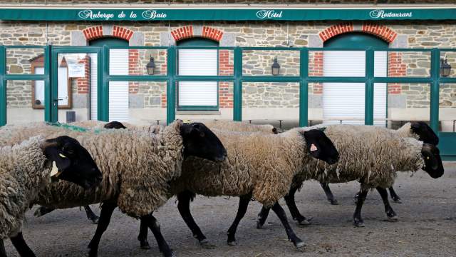 Карантин превращает Мон-Сен-Мишель в крепость-призрак