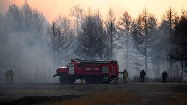 Лесные пожары в Забайкальском крае
