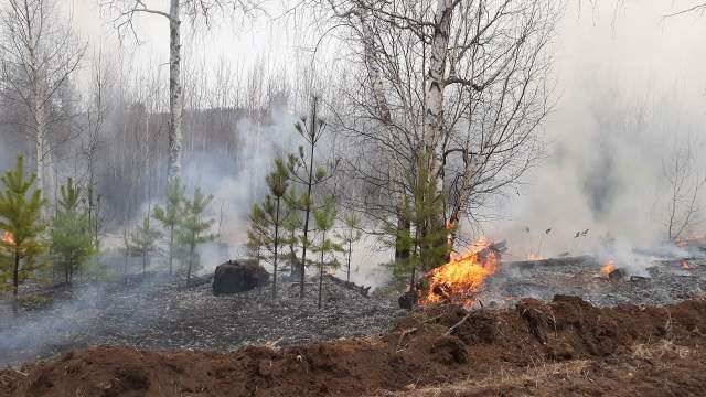 Лесные пожары в Забайкальском крае