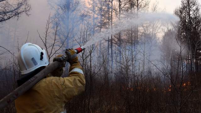 Лесные пожары в Забайкальском крае