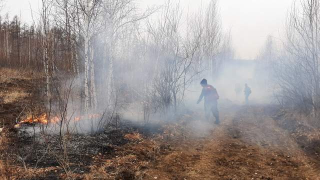 Лесные пожары в Забайкальском крае