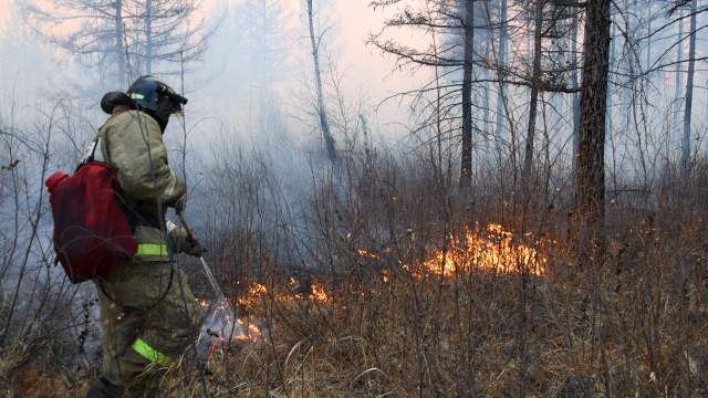 Лесные пожары в Забайкальском крае