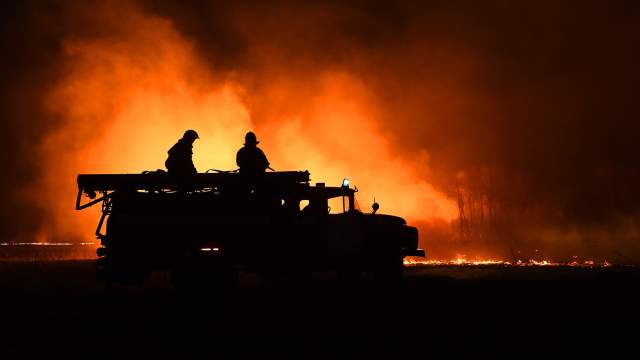 Лесные пожары в Новосибирской области