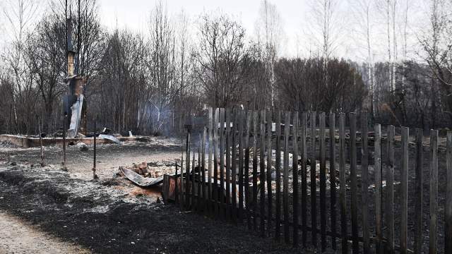 Лесные пожары в Новосибирской области