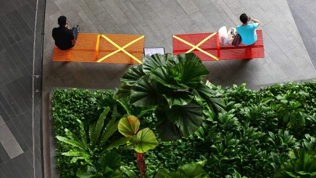 Социальная дистанция