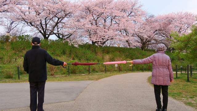 Социальная дистанция