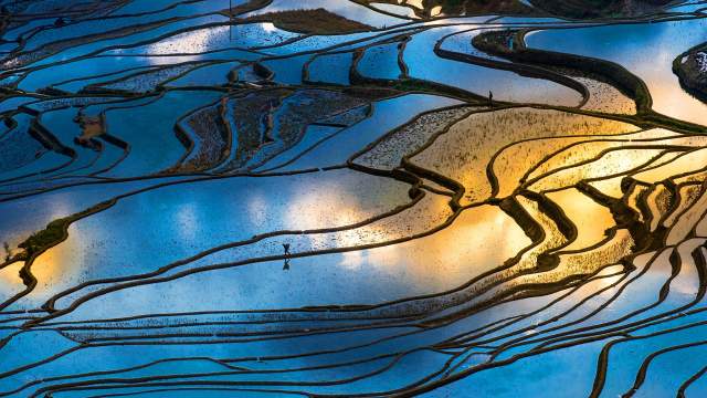 Рисовые террасы Китая