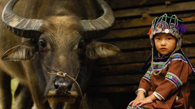 Рисовые террасы Китая