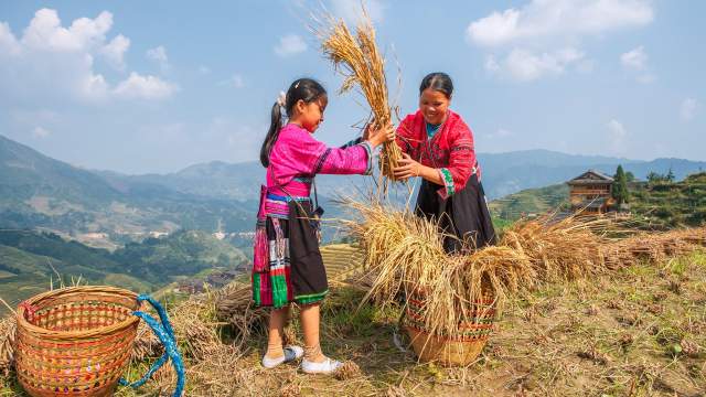 Рисовые террасы Китая