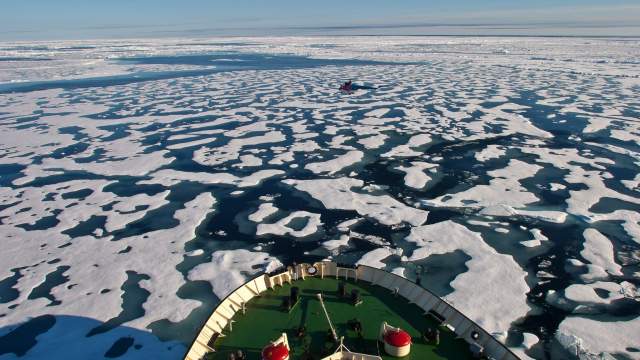 День полярника в России