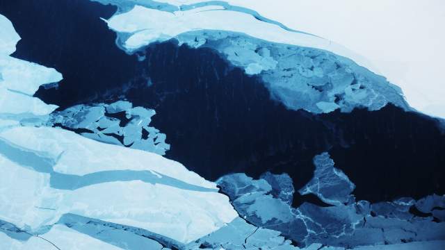 День полярника в России