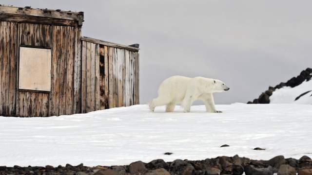 День полярника в России