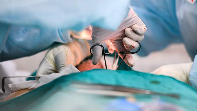 Работа врачей в ГКБ № 15 им О. М. Филатова