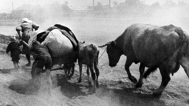 Мирные жители покидают родные места, чтобы не оставаться в оккупации. Великая Отечественная война 1941-1945 гг.
