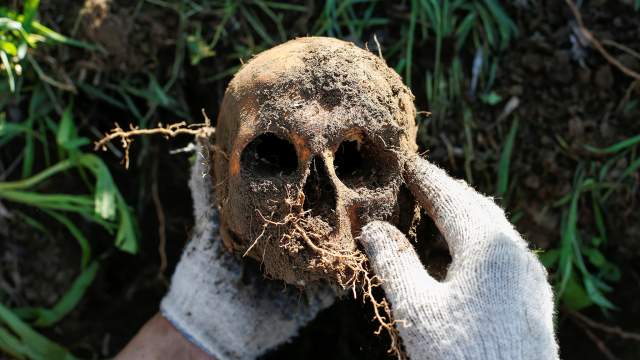 Работа поисковой группы на месте раскопок, где были найдены останки красноармейцев, погибших во Второй мировой войне