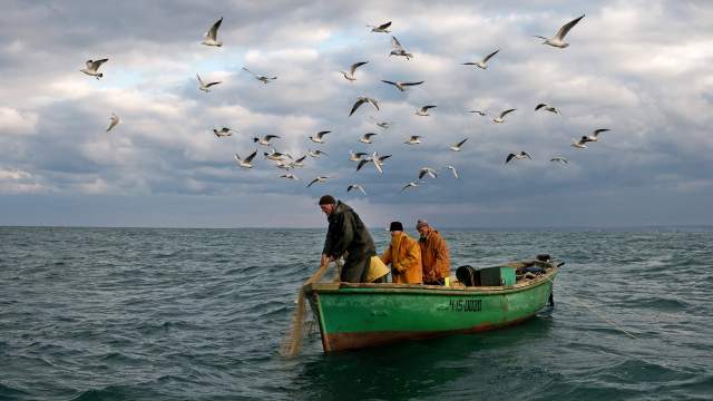 Прибрежный лов рыбы в Севастополе
