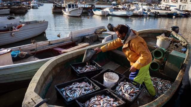 Прибрежный лов рыбы в Севастополе