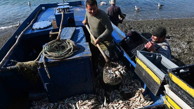 Ловля барабули в Сочи
