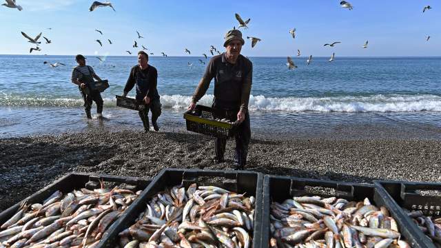Ловля барабули в Сочи