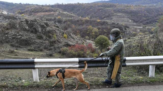 Специалист с собакой ищет мины.