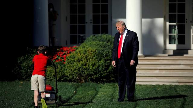 Садовник и Трамп