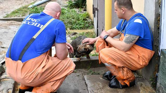 Последствия схода селя в Бахчисарайском районе