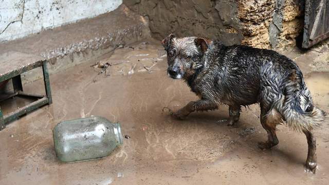 Последствия схода селя в Бахчисарайском районе