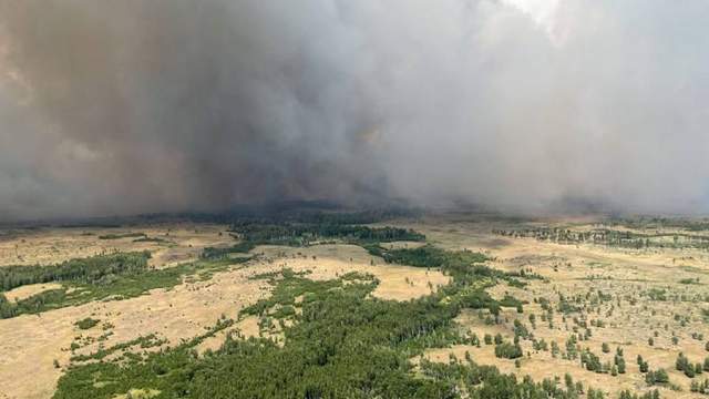 Лесные пожары в Челябинской области