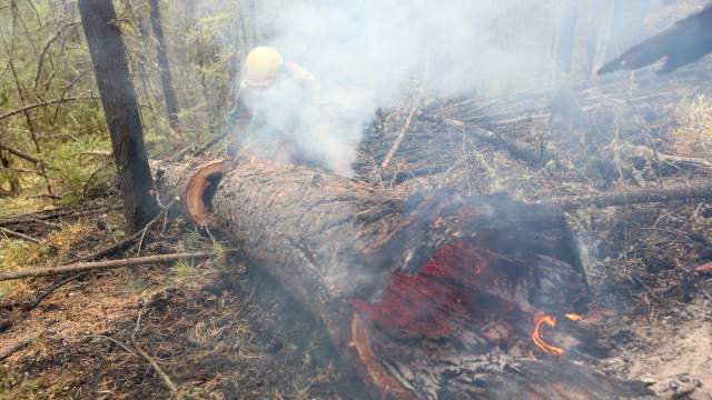Борьба с огнем