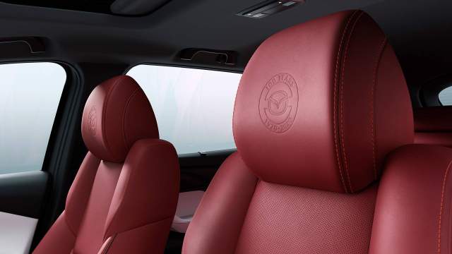 ... и теснение на подголовниках