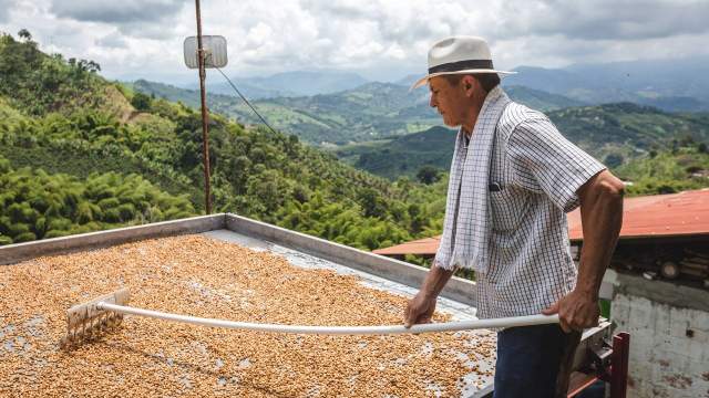 Процесс обработки кофе в Колумбии