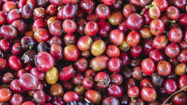 Процесс обработки кофе в Колумбии