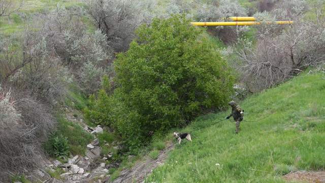 Кинолог ВС РФ с собакой во время работ по восстановлению гидротехнических сооружений Северо-Крымского канала в Херсонской области