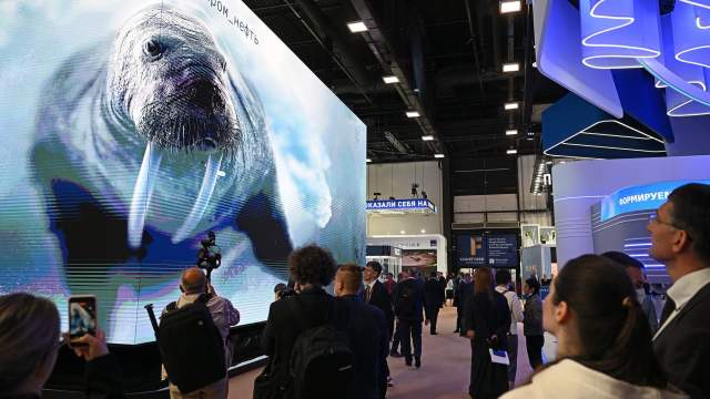 В объективе — ПМЭФ-2022