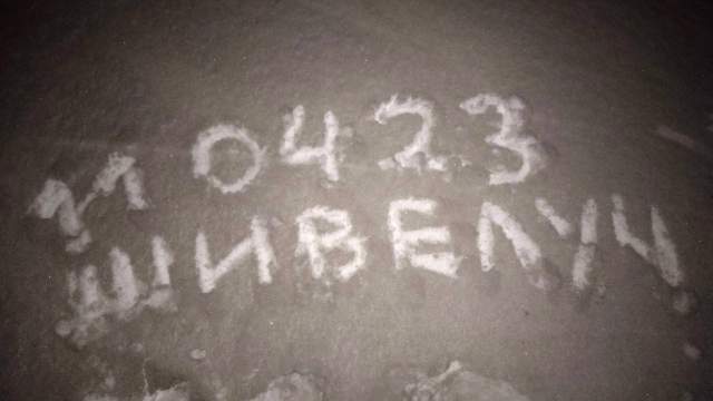 Последствия извержения вулкана Шивелуч на Камчатке