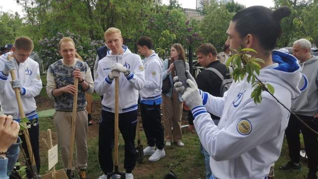 Черешневый лес