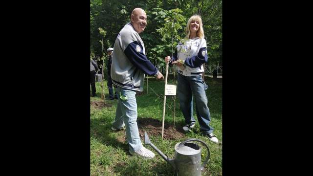 Черешневый лес