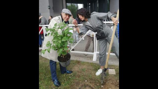 Черешневый лес