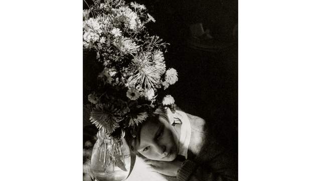 Александр Родченко. Полевые цветы, 1937 