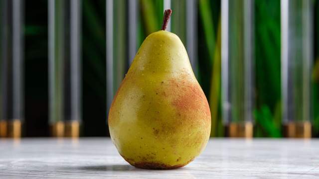 Не верь глазам своим