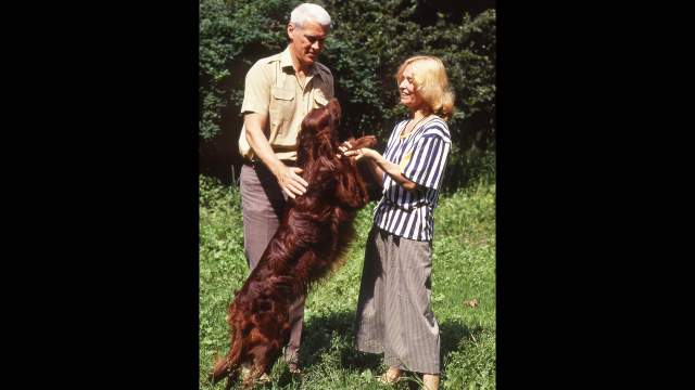 Умерла Светлана Светличная