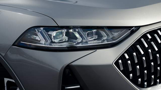 Флагшток и лапки