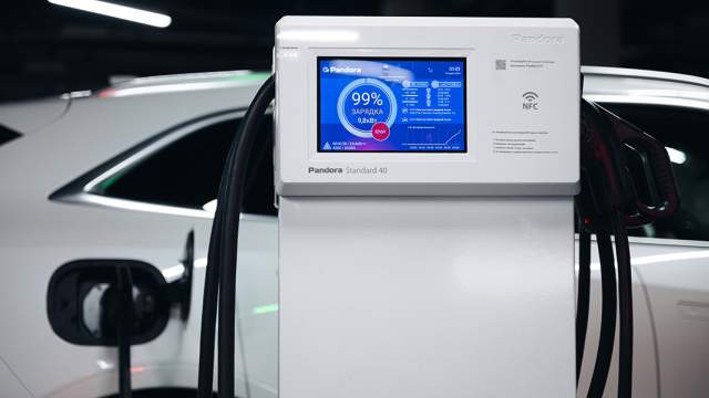 Флагшток и лапки