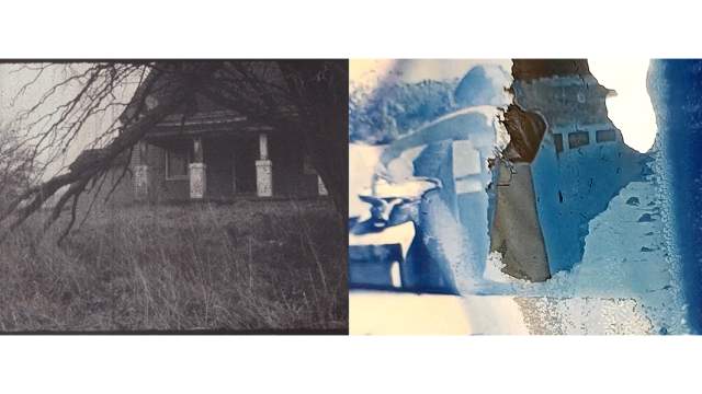 Доминик Риверс, США. Когда семян достаточно, 2023