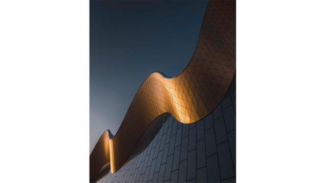 Антон Шваин. Волна